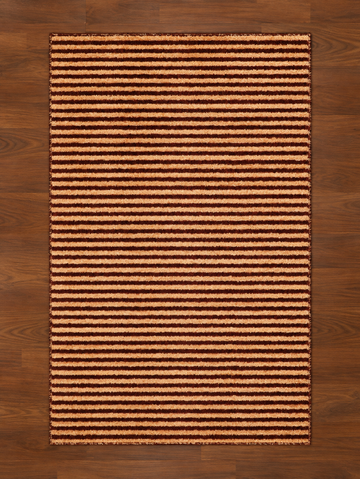 Plush & Modern Area Rug