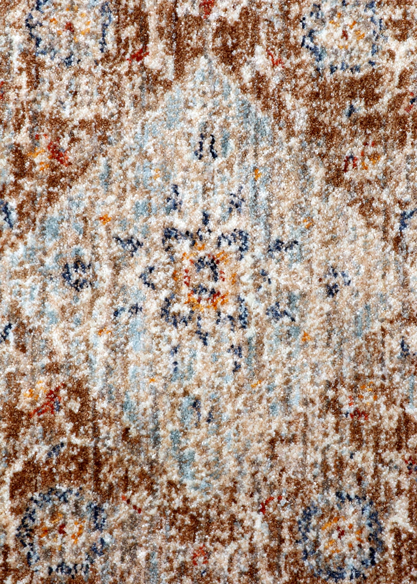 Terracotta Medallion Distressed Vintage Rug