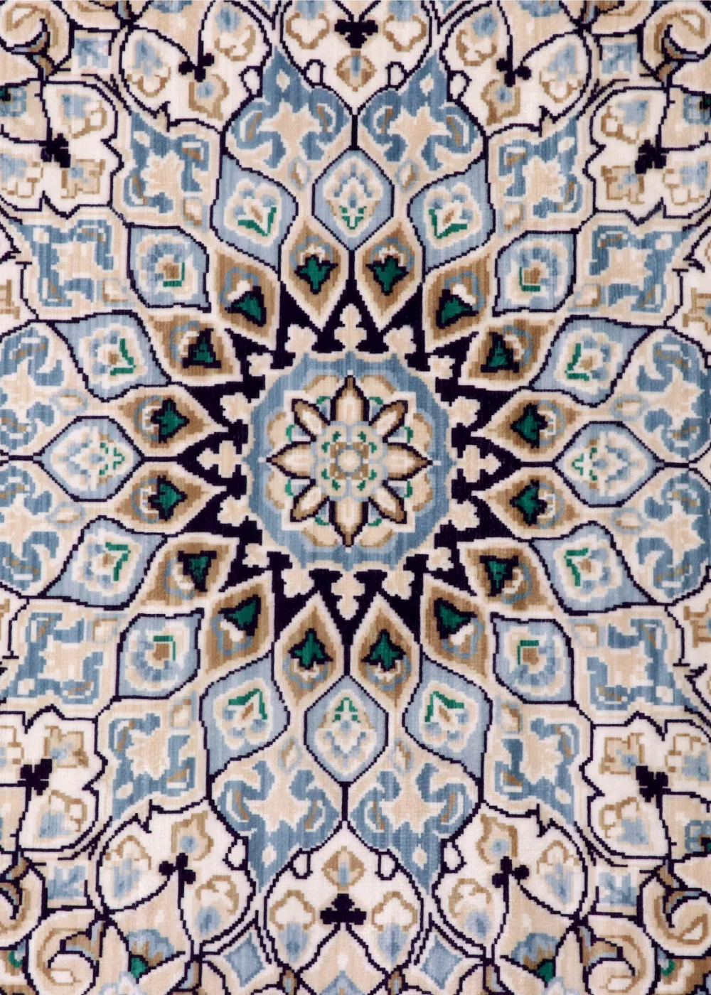 Empress Onyx Traditional Rug